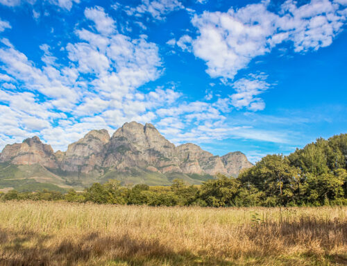Boschendal-Plaas-Staptoer