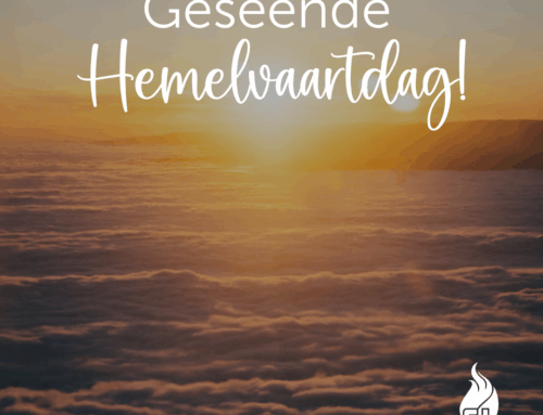 Diep dankbaarheid 