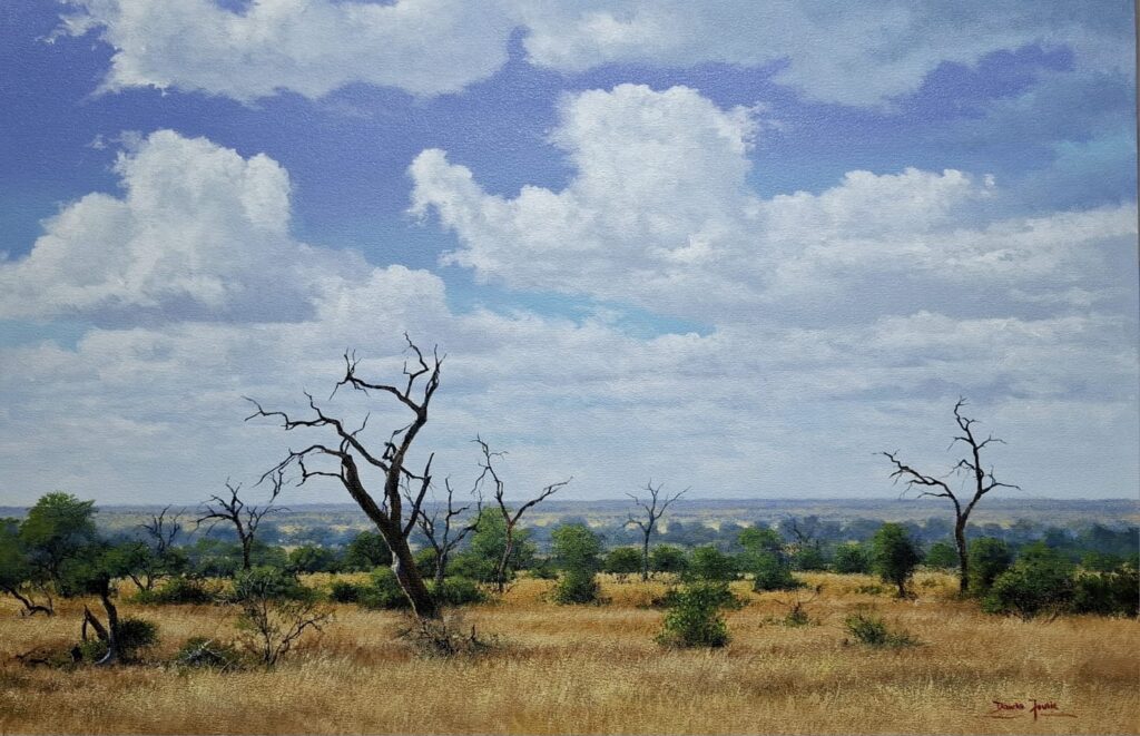 P27 – Dawie Fourie