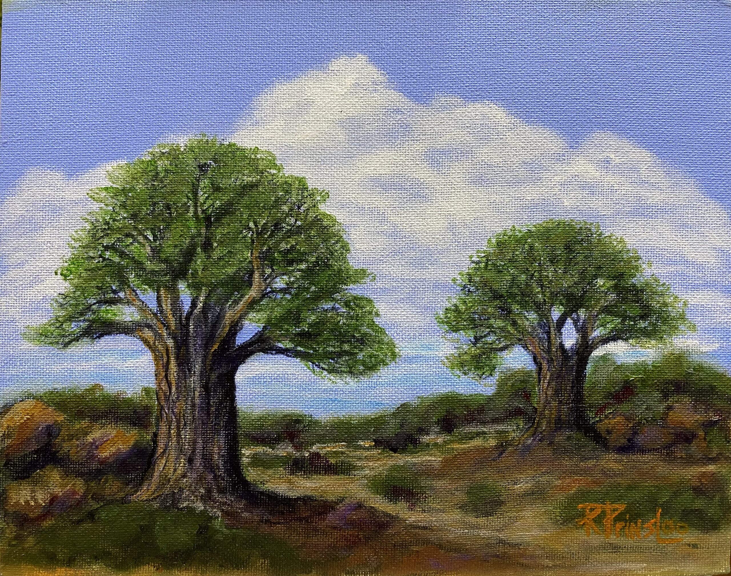 P2 – Riaan Prinsloo
