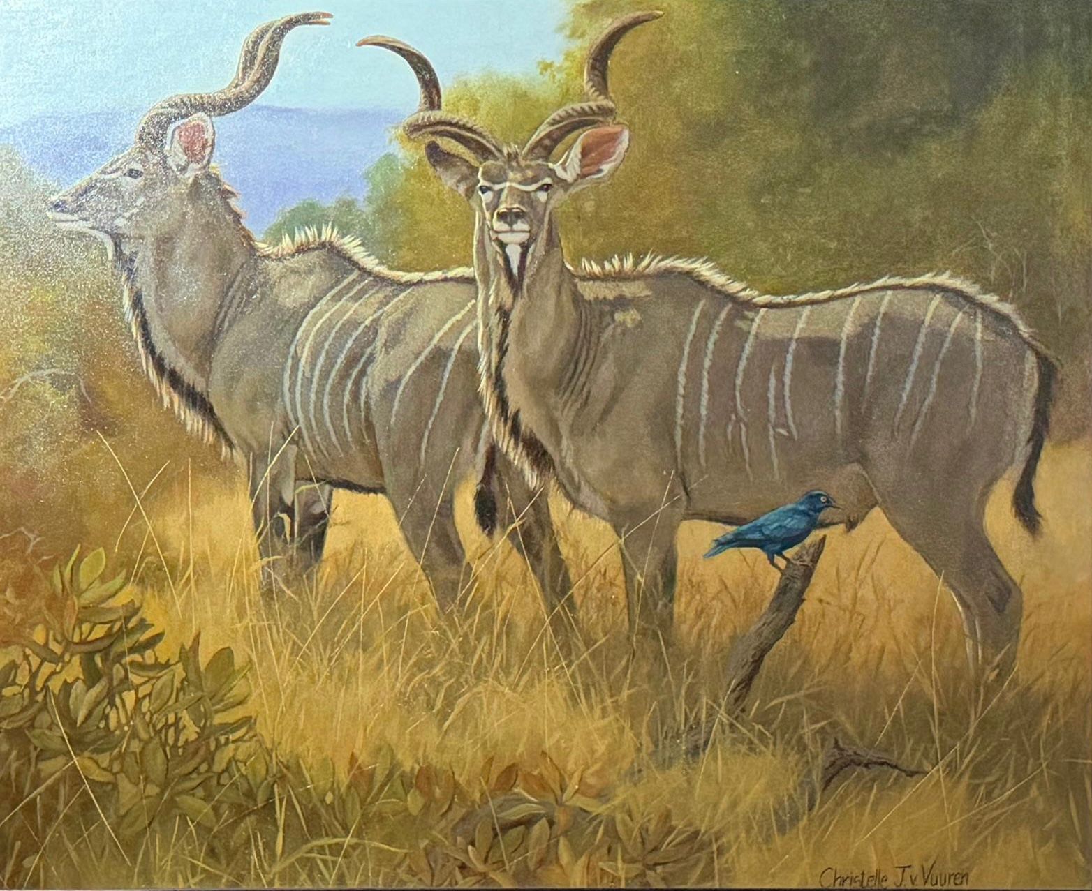 P31 – Christelle J v Vuuren