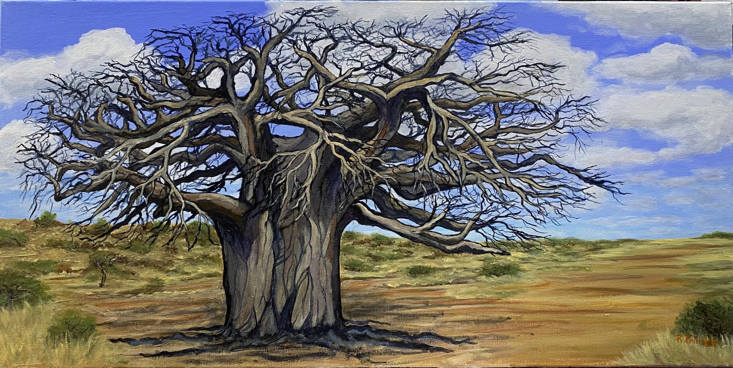 P5 – Riaan Prinsloo